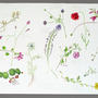  Botanical sketches . Watercolour on Arches paper . 57 x 76 cm