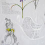 Spetses - Invierno-Primavera. Limonastrum, Phlomis fruticosa . Detail