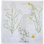 Spetses - Winter - Spring.  Printemps. Limonastrum, Phlomis fruticosa . Herbarium on canvas . Acrylic paint and gesso on canvas . 68 x 67 cm . 2020